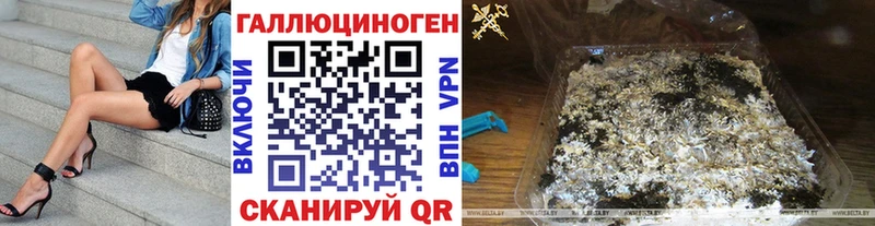 где купить наркотик  Ливны  Псилоцибиновые грибы GOLDEN TEACHER 