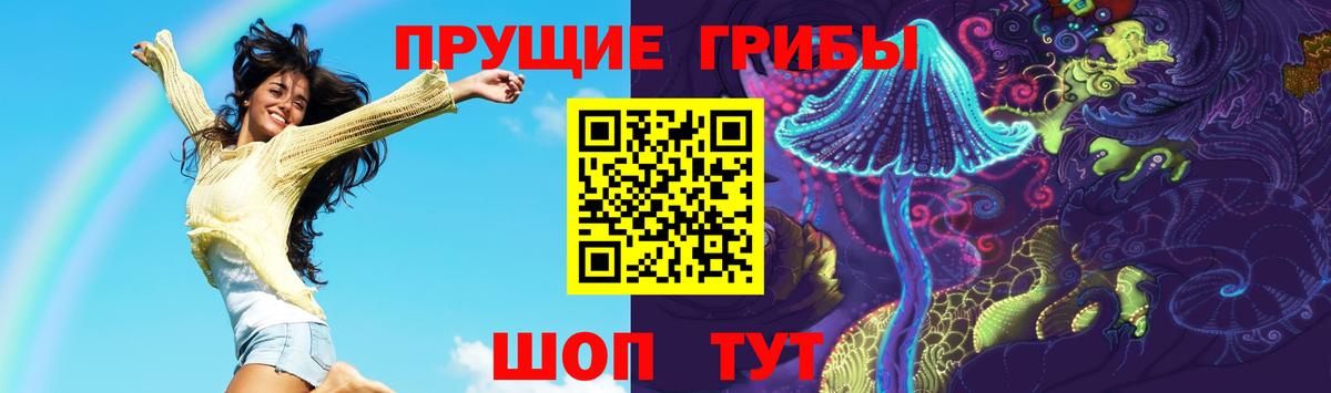 Ливны  купить  сайты  Вход с VPN  Галлюциногенные грибы GOLDEN TEACHER 